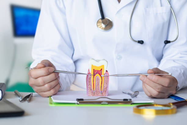 Best Cracked Tooth Emergency Dentist  in June Park, FL